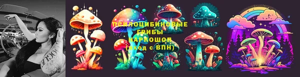 метадон Алексин