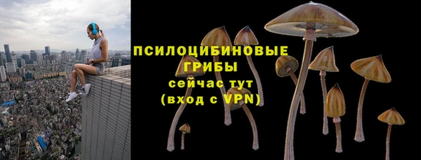 трава Алзамай