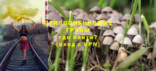 трава Алзамай